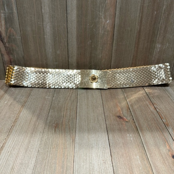 Vintage Gold Serpentine Scale Elastic‎ Statement Belt - Picture 6 of 6